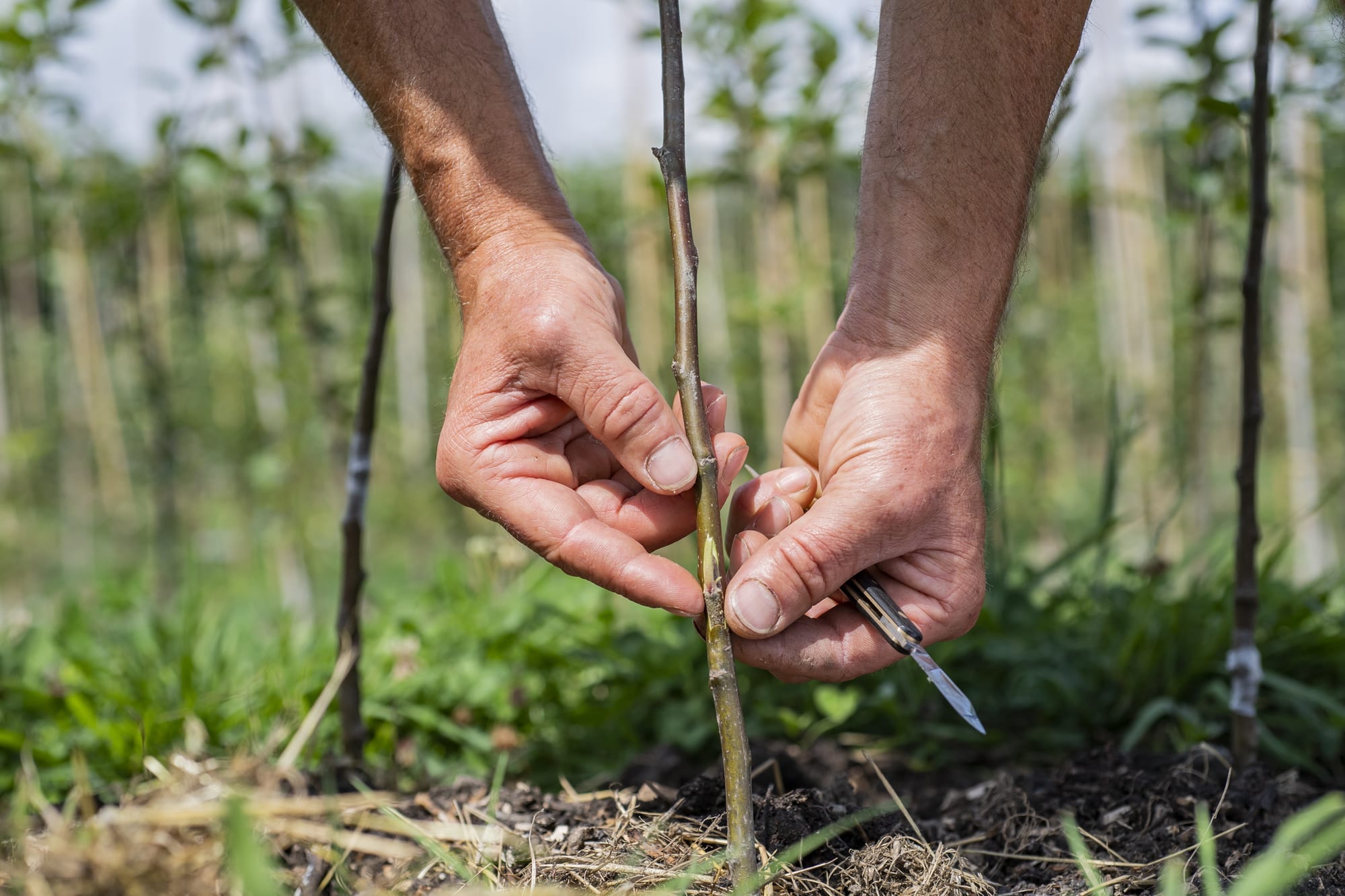 Photo credit Julian Calder (2)