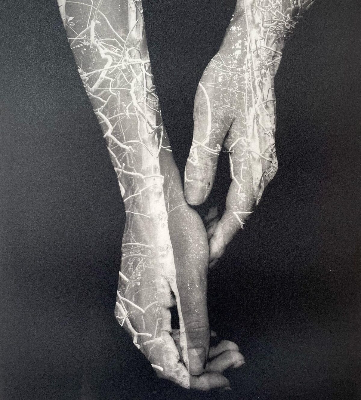 RBGE Hands .detail RBGE Hands .detail