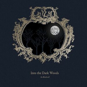 Into the Dark Woods: A reimagining of seven classic fairy tales