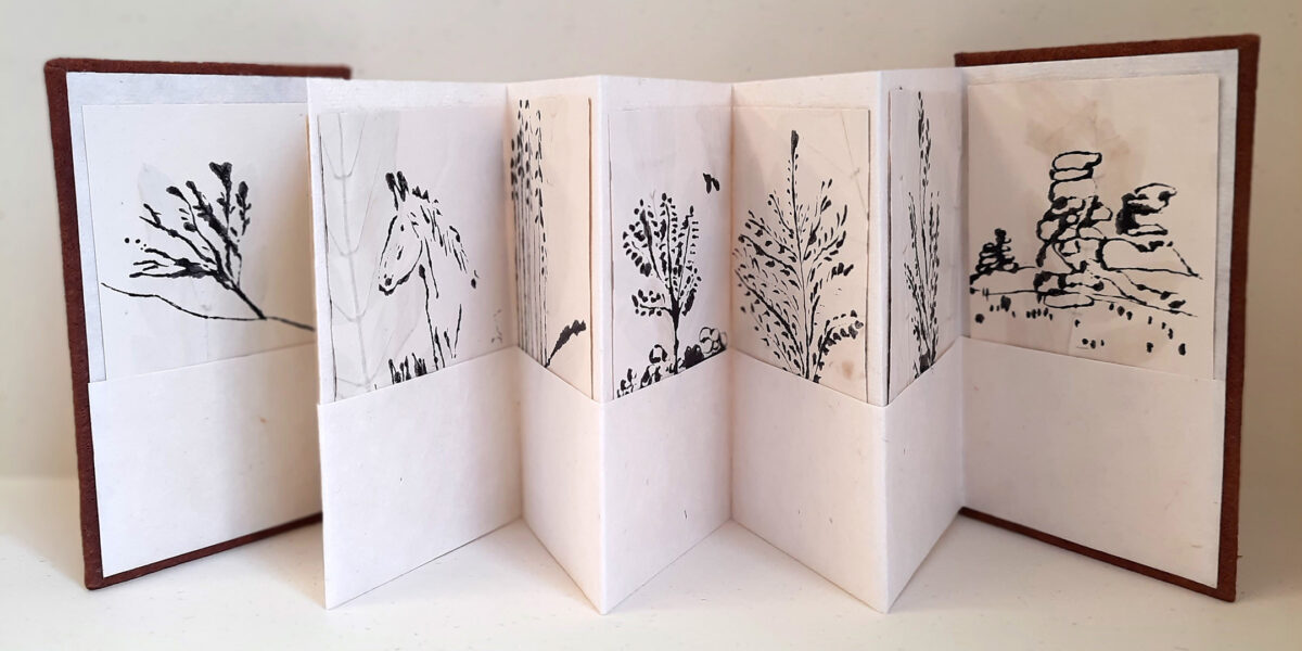 Bookbinding Making a Pocket Concertina Book with Kate