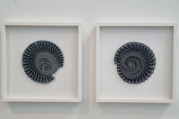 Dr Hannah White - Ammonite Shadow:  Azurite Swirl Diptych