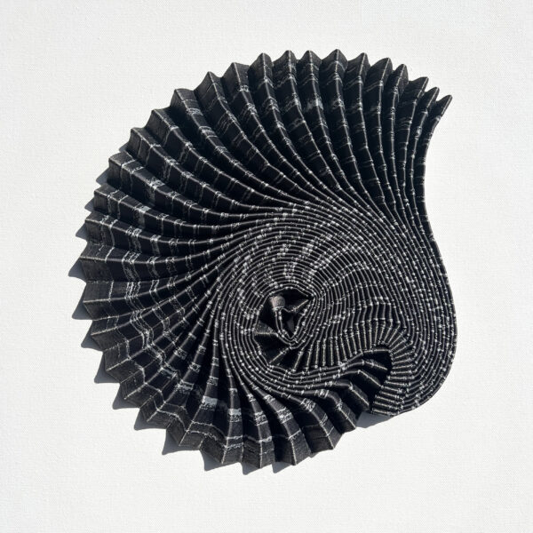 Dr Hannah White - Ammonite Shadow: Asteroceras Curl
