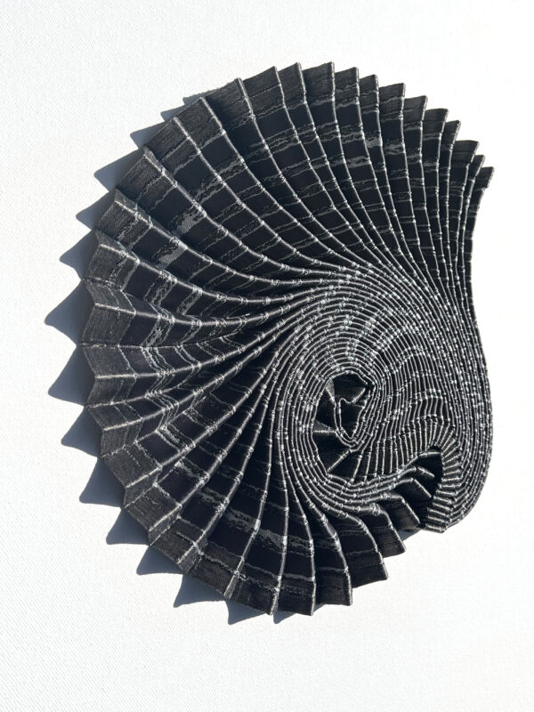 Dr Hannah White - Ammonite Shadow: Asteroceras Curl - Image 3