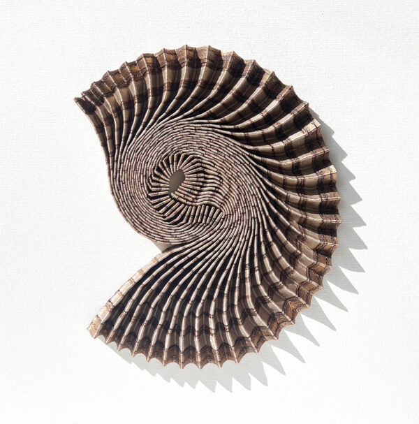 Dr Hannah White - Ammonite Shadow: Copper Curl - Image 2