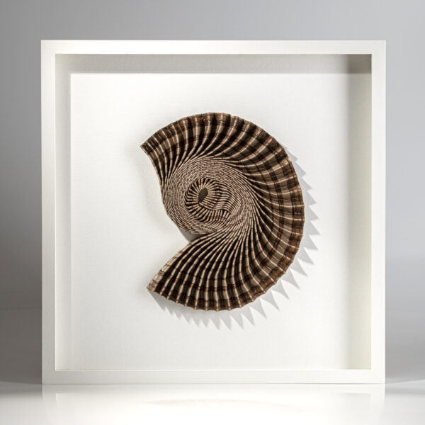 Dr Hannah White - Ammonite Shadow: Copper Curl