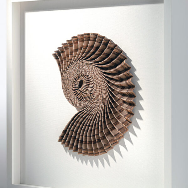 Dr Hannah White - Ammonite Shadow: Copper Curl - Image 4