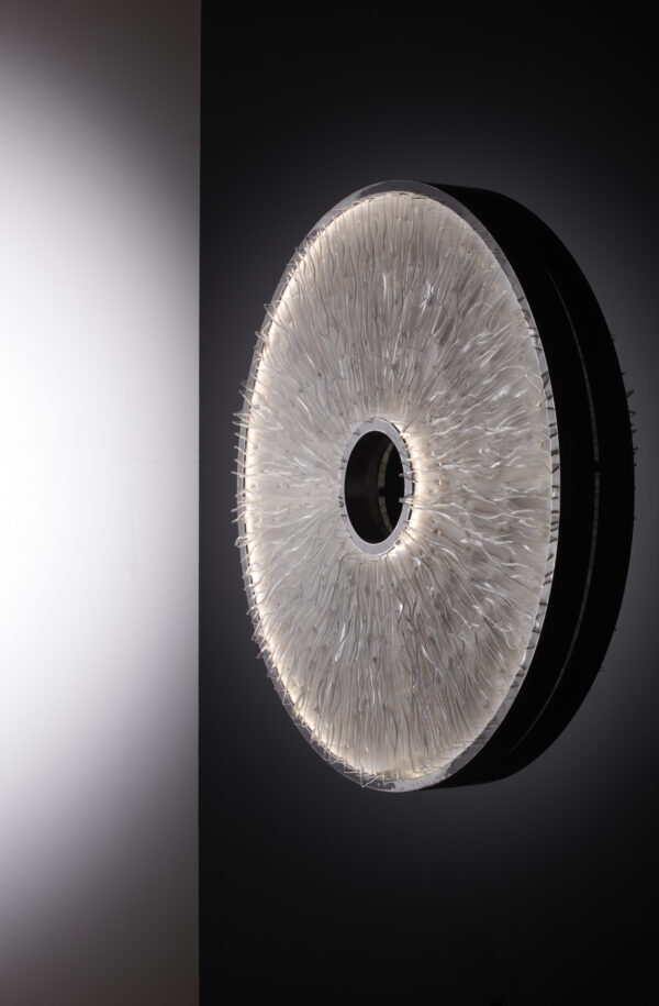 LAURA QUINN - Tacit Light