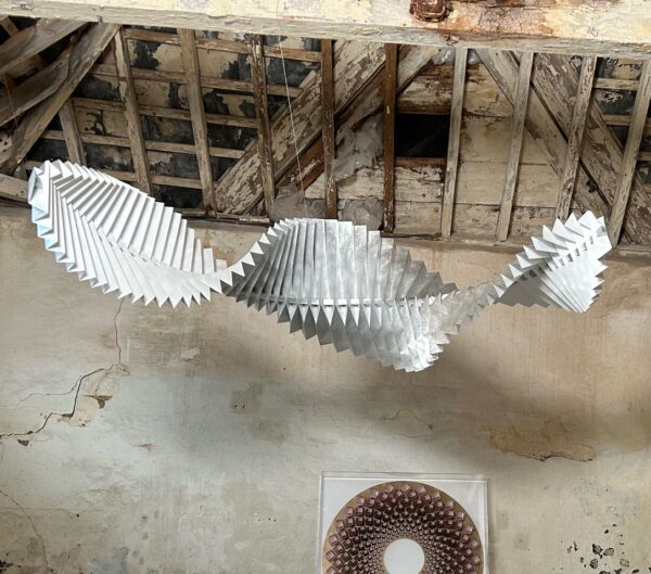 Fung + Bedford - Kirk-kudzu (Swarf) - Image 3