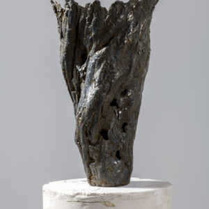 Tom Palmer - Diluvial Vessel II