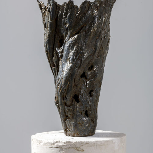 Tom Palmer - Diluvial Vessel II
