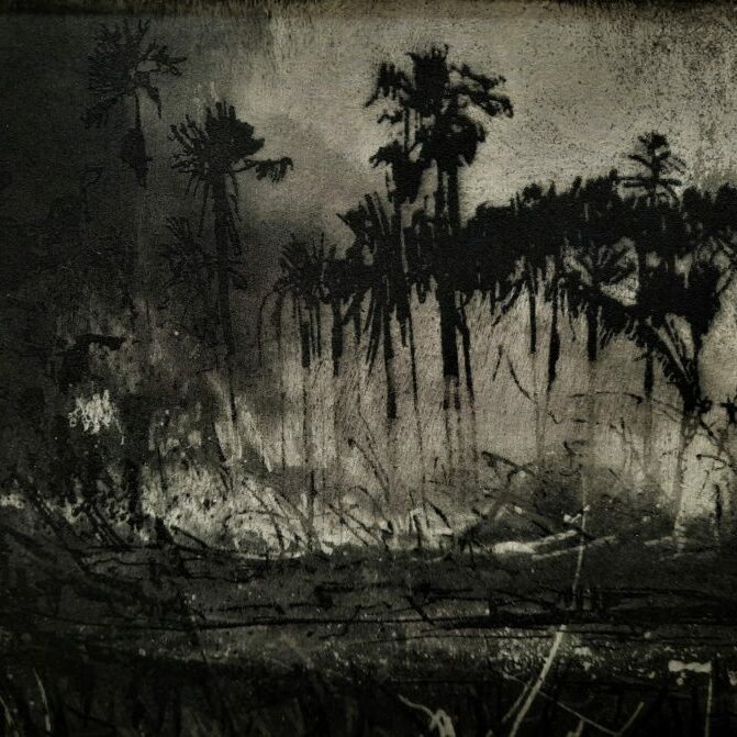 Amazon Forest Fire etching test plate by Jemma