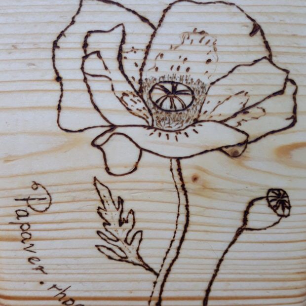 Papaver etch in wood